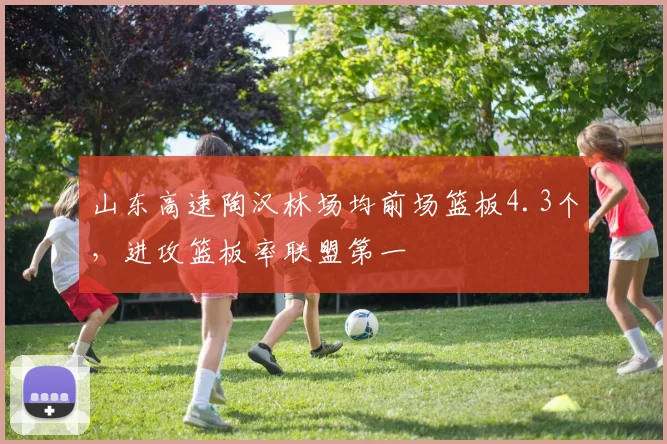 山东高速陶汉林场均前场篮板4.3个，进攻篮板率联盟第一